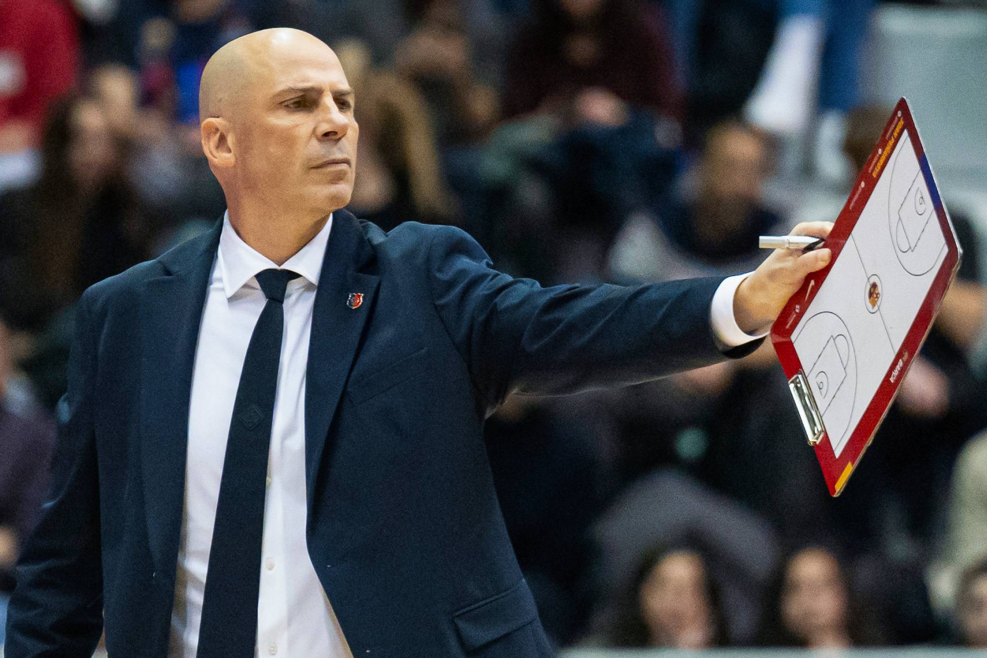 活力和潜力 活力和潜力